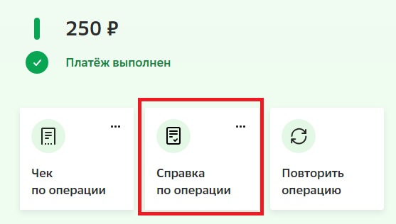 справка по операции по оплате по QR