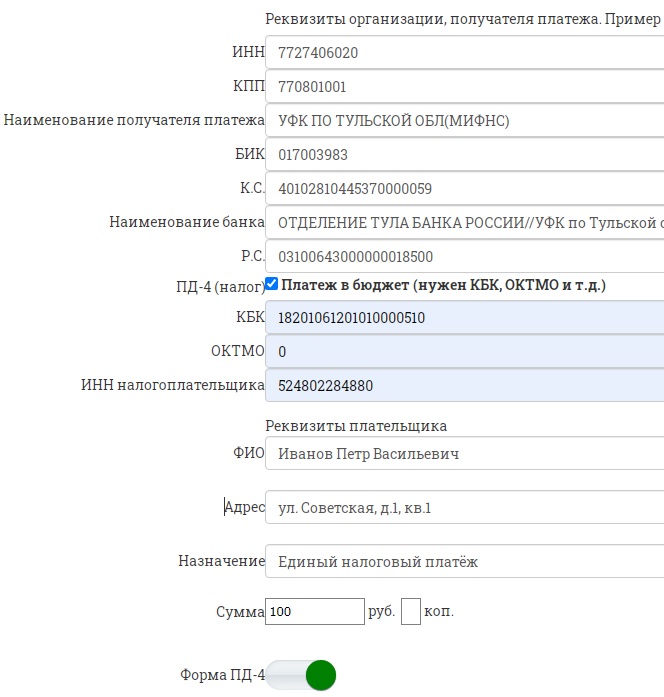 Пример заполнения реквизитов для ЕНП