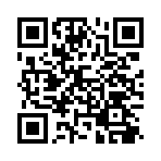 Пример QR для приложения Плати QR